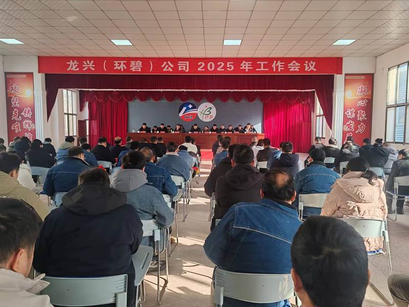 龙兴（环碧）买球召开2025年工作会议